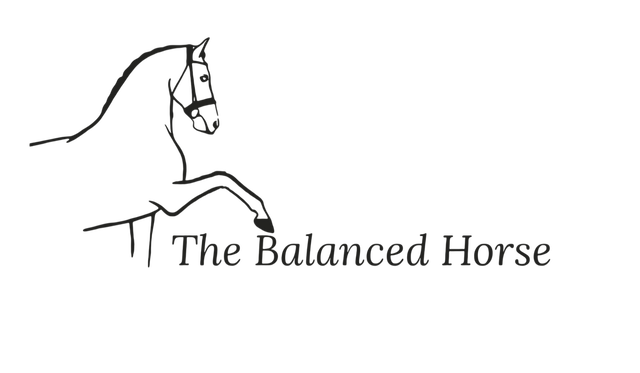 The Balanced Horse