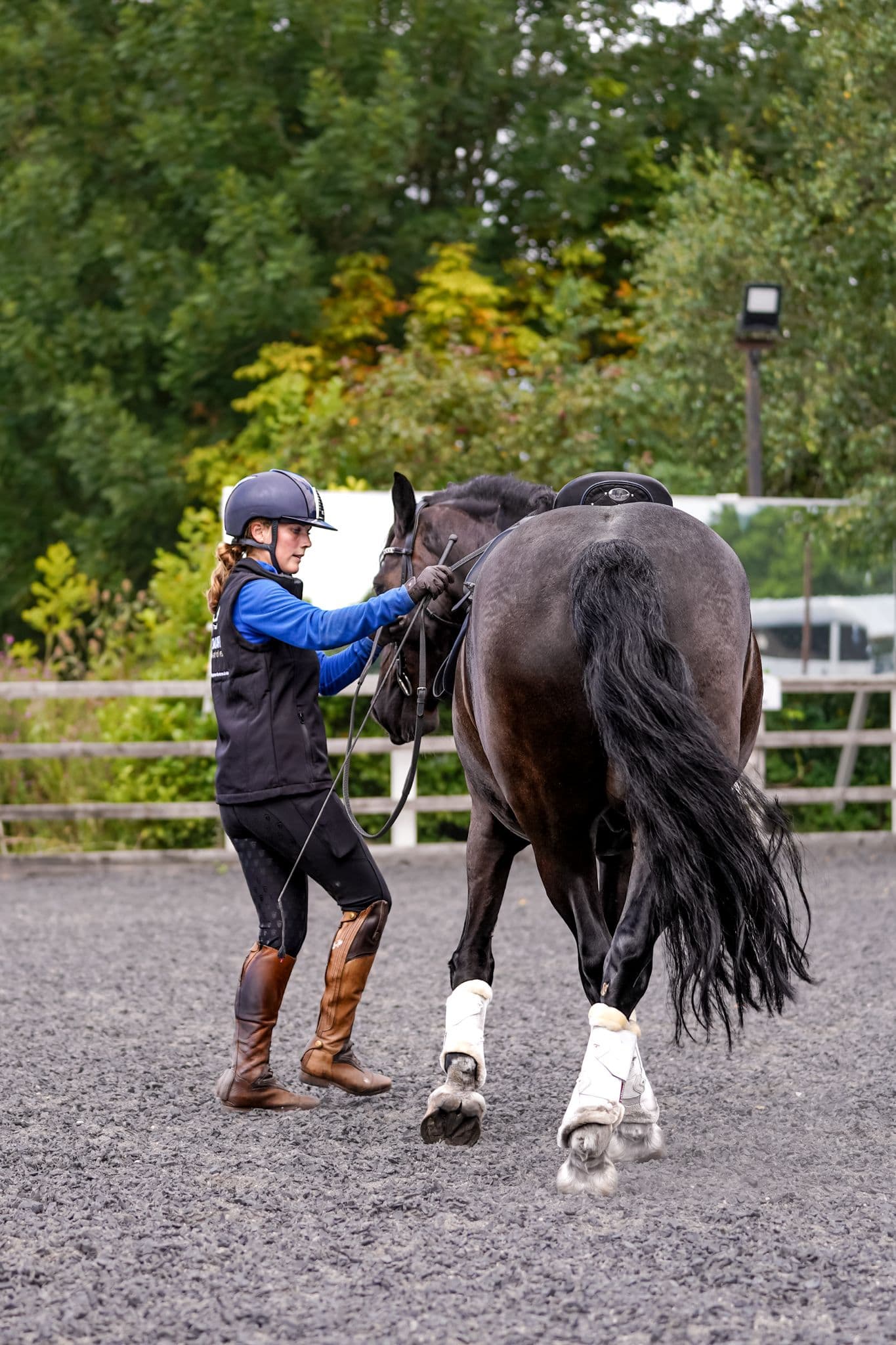 Introduction To Dressage In-Hand